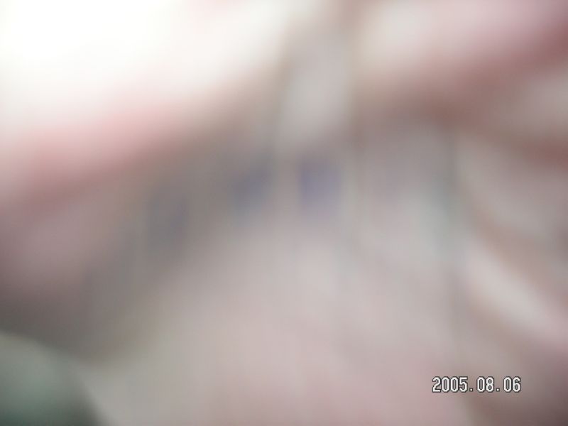 PICT0040