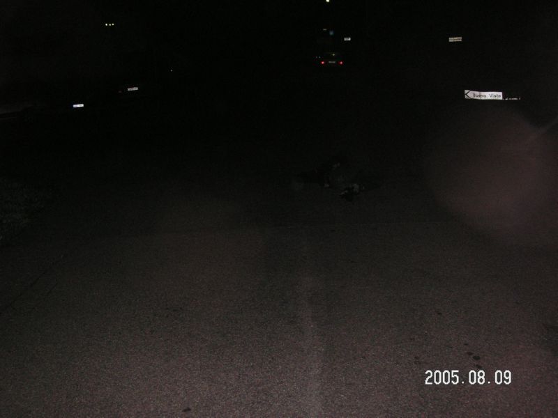 PICT0024