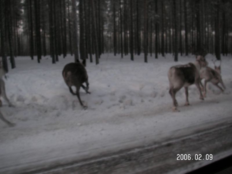 PICT0004