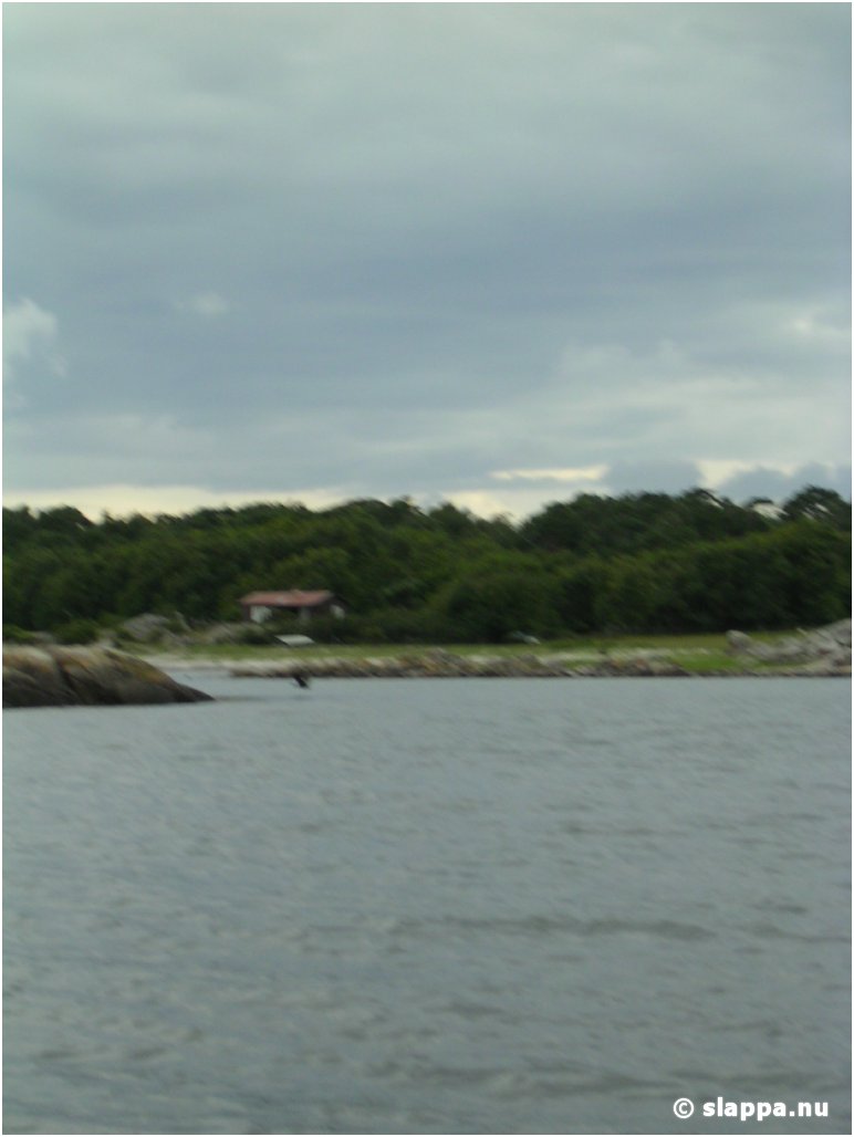 PICT0010